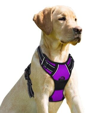 Barkbay No Pull Dog Harness for Dog Vest Reflective Padded Mesh (Medium)...